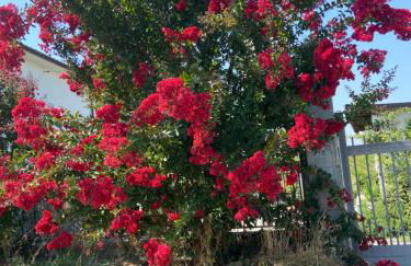 Villa panoramica sulle colline del Monferrato - Foto 61