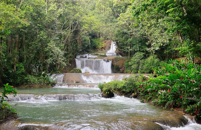 Black River & YS Falls Day Trip - Photo 1