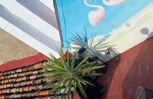 Casa de Los Dos Flamencos - Foto 20