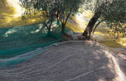 Ferienhaus in Vasia Imperia für bis zu 4 Personen - Foto 8