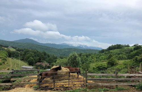 On top of the world at Sugar Top Resort - Foto 42