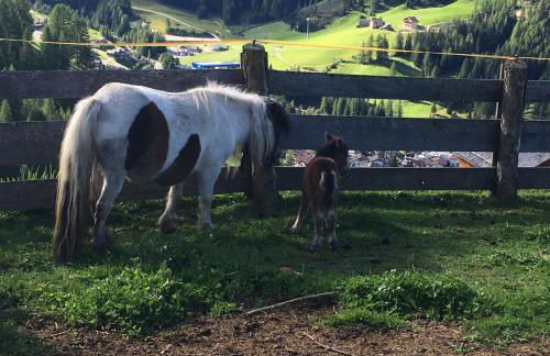 Ciasa Rü - Photo 43