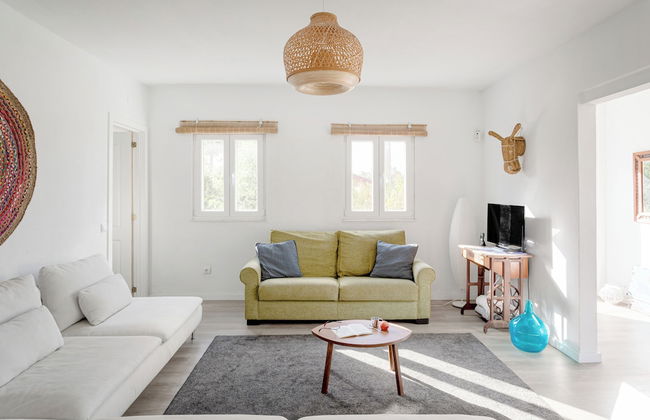 Pinhal da Praia em Melides - Foto 19