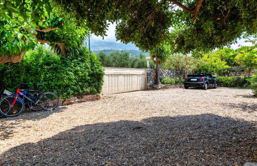 Malsova Studio - Foto 36