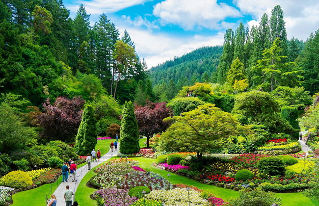 Butchart Gardens Tour - Foto 1