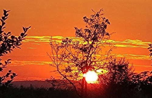 Wierzbowa Ostoja - Domek letniskowy BOSMAN - Photo 46