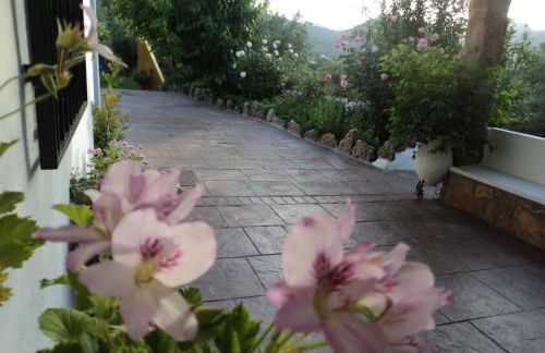 Puente Piedra - Foto 38