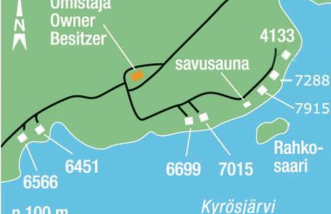 Keltavuokko - Foto 21