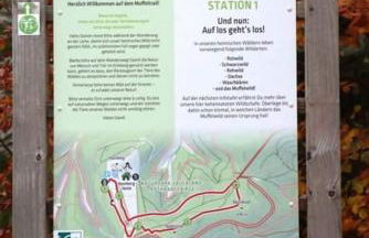 Ferienwohnung Bergblick - Foto 20