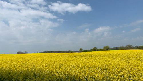 Gutshof Rothensande Herrenhaus - Foto 2