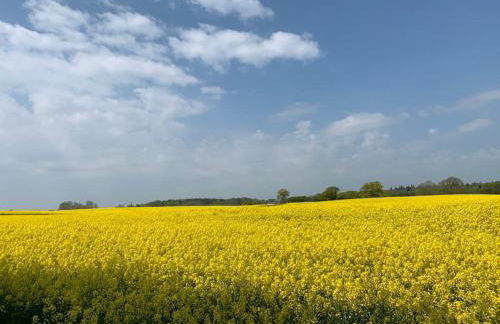 Gutshof Rothensande - Foto 15