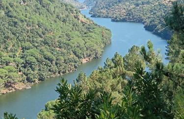 Casa Sardão - Foto 35