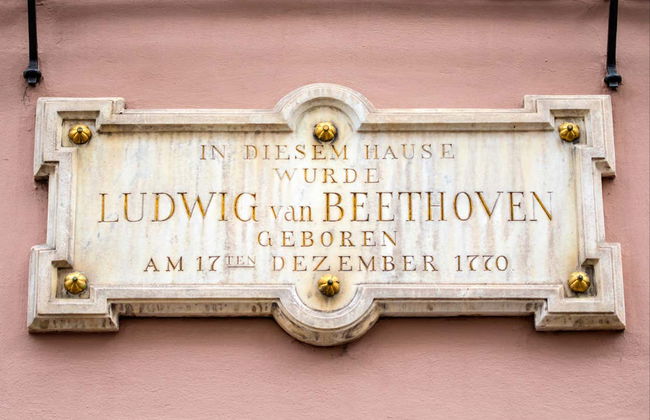 Tour in Bonn - Foto 5