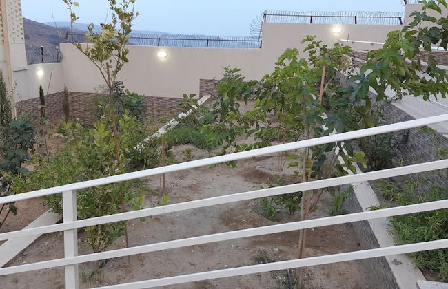 Alestiraha Elegant - Foto 11