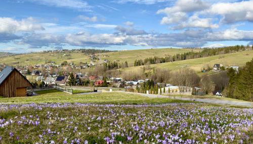 Bystre DOMKI 2 - Foto 4