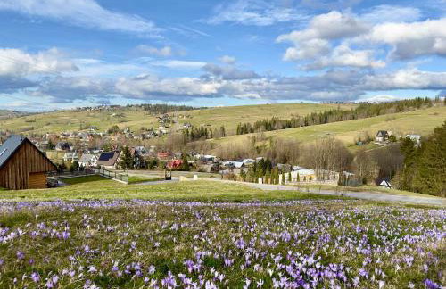 Bystre DOMKI - Foto 30