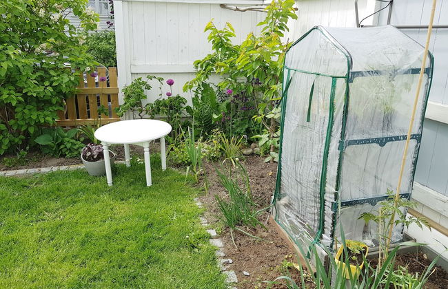 Solferie Holiday Apartment Tors gate - Photo 48