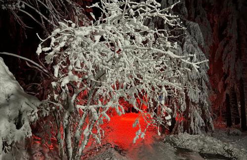 Waldhaus Hahnenklee - Foto 49