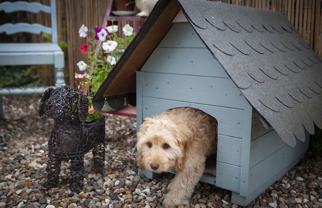 The Cherries - Photo 19