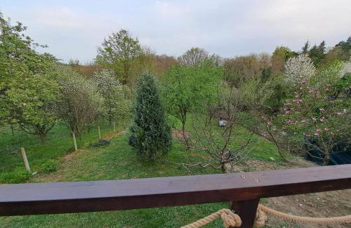 SpaHouse Adrian - Foto 38