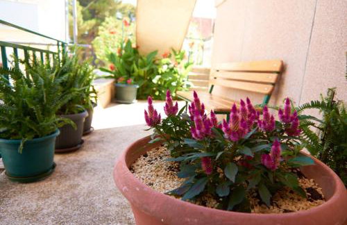 Apartmani Marta i Franka - Foto 54