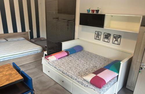 Papero rosso - Foto 19