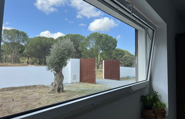 Fazenda do Pomar - Foto 39