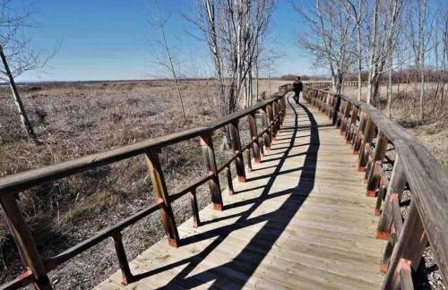 Apto. Singular en la Mancha Banco de Inversiones - Photo 34