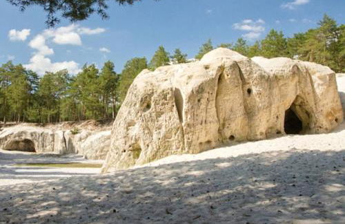 FeWo Am alten Holzplatz - Foto 36