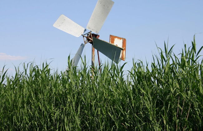 Charming Home w/ Garden - Photo 37