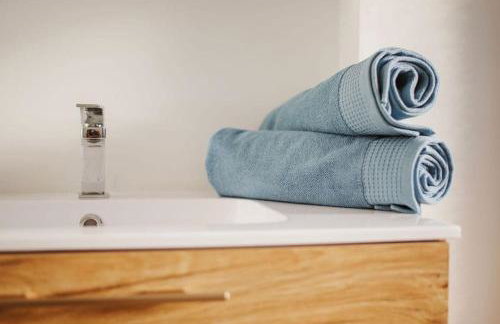 Le JOYAU loft historique et arboré avec garage - Foto 9