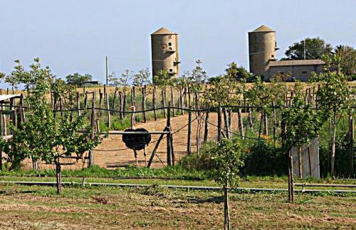 B&B Corte degli Struzzi - Foto 25