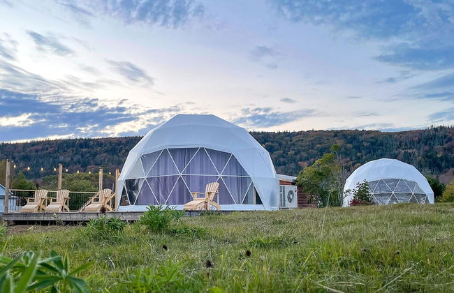 Port Wade Glamping Domes - Photo 27