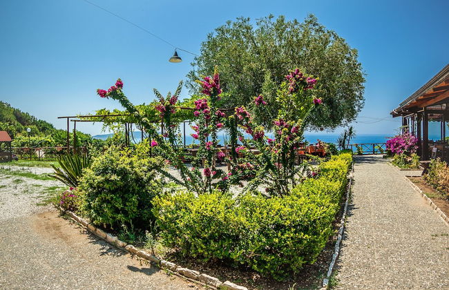 Agriturismo Valle di Marco - Foto 11