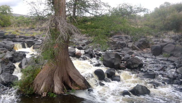 Cours d'eau à la périphérie de Nombre de Dios