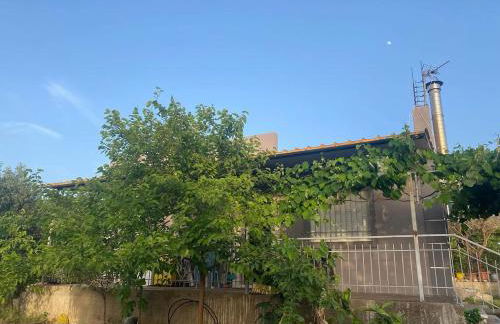 Patras Ressort - Foto 17