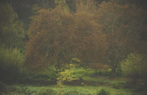 Moulin du Roz - Foto 17