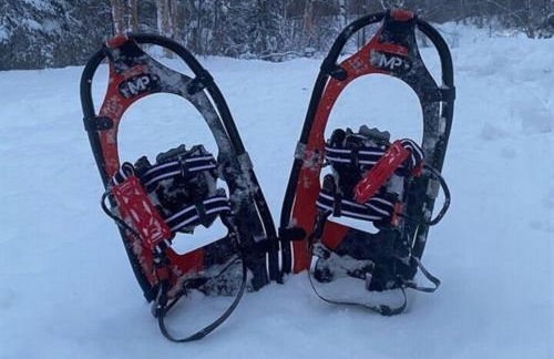 New-Game Room-Nearby Lake-Airport-Family-Bear Haus - Photo 36