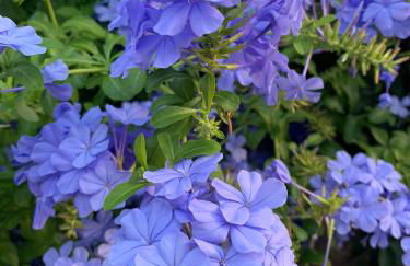 Sun, beach and bike - Foto 27