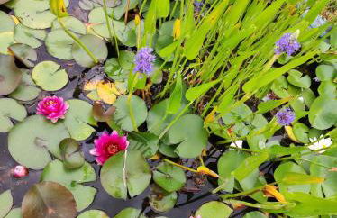 Villa des petites Chaumes - Foto 11