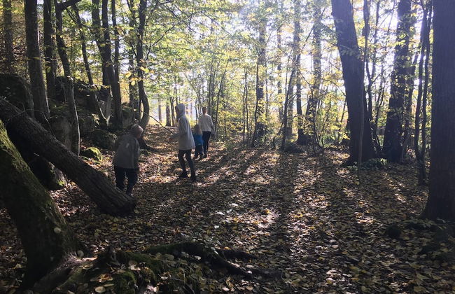 Ronneby Torneryd Retreat - Foto 42