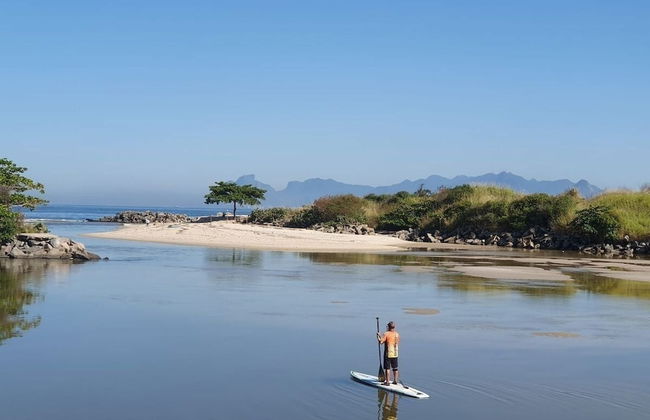 Andorinhas - Foto 67