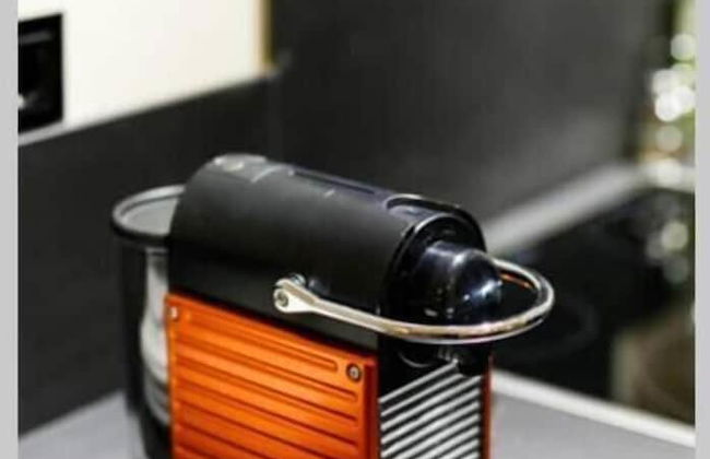 Luxury B by OTOTO - Photo 12