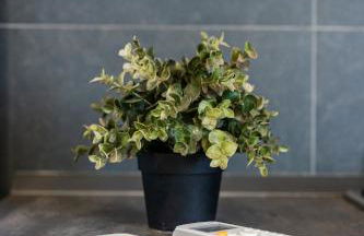 Rubiera Residence - H24 - Foto 41