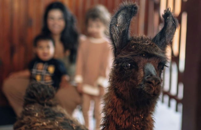 Paradise Ranch - Foto 27