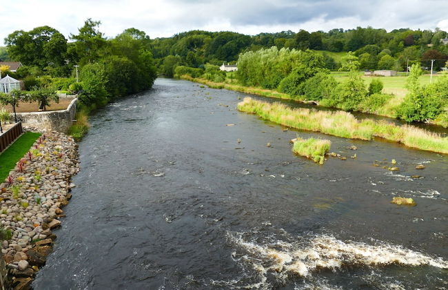 Riverside Apartments - Photo 20