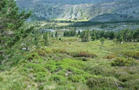 La Casona de El Royo - Foto 29