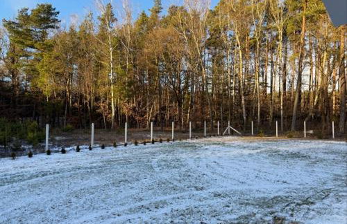 Przedświt - Foto 5
