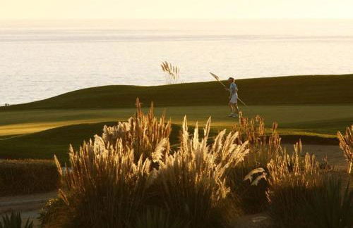 Sunny Lounge Apartment - Photo 28