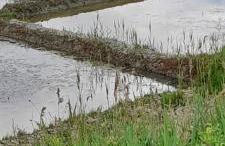 APPARTEMENT LES PIEDS DANS L'EAU - Foto 16